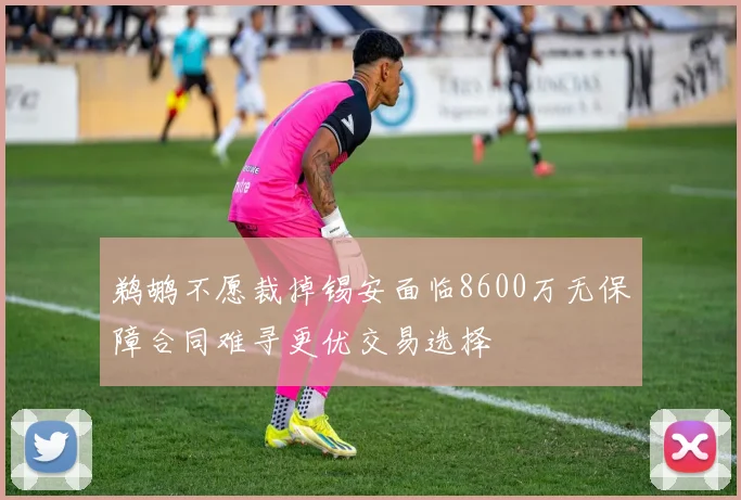 鹈鹕不愿裁掉锡安面临8600万无保障合同难寻更优交易选择