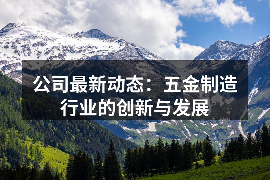 新引进的五金制造设备展示